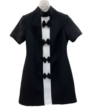 بپوشش پیراهن سواروسکی 2